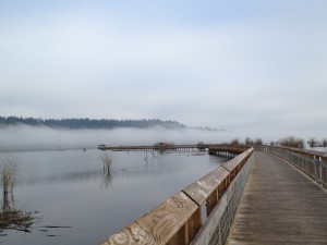 boardwalk high tide