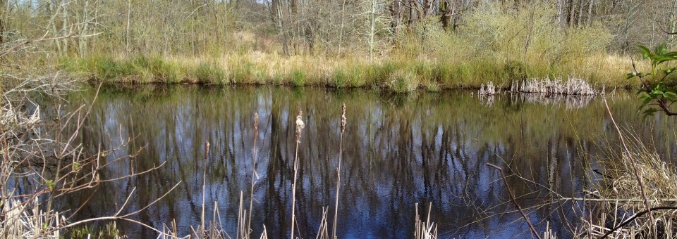 Healing the Nisqually: 160 Years after the Medicine Creek Treaty